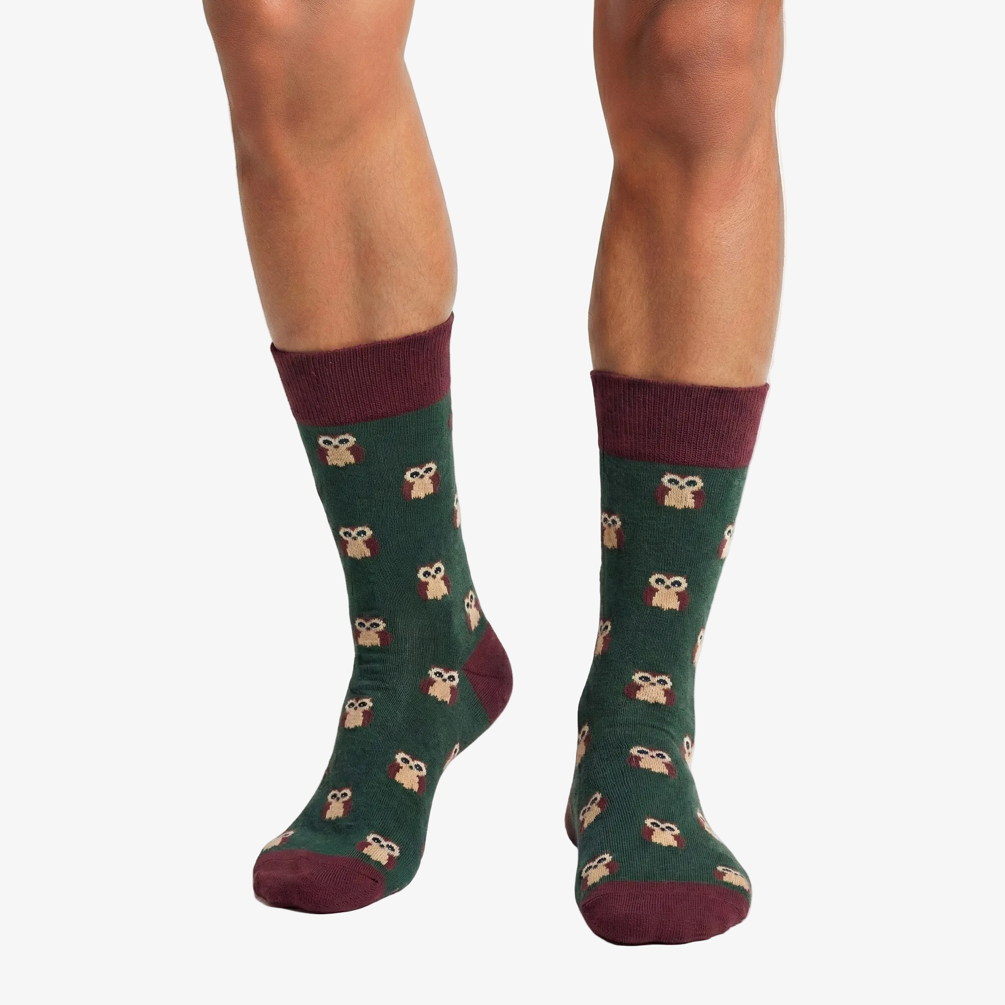 Men's Owl Socks